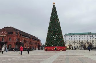 елка площадь Ленина