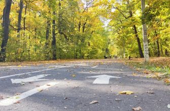 олимпийская аллея осень