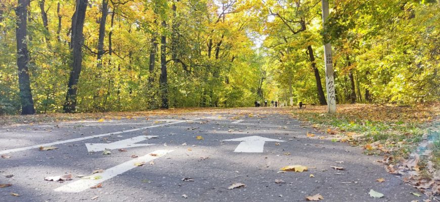 олимпийская аллея осень