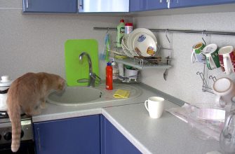 ЖКУ кран кот