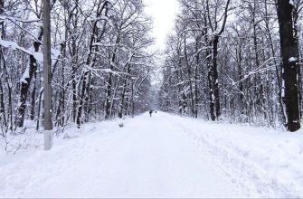 зима Олимпийская аллея