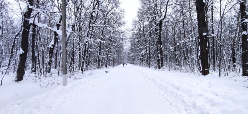 зима Олимпийская аллея